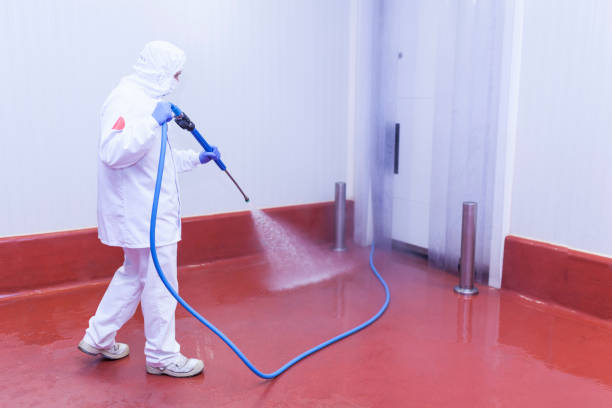 Best Sidewalk and Walkway Cleaning  in Darien, GA