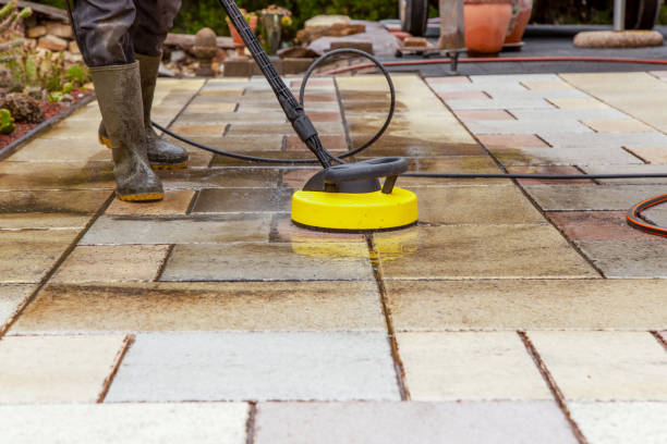 Best Gutter Cleaning  in Darien, GA