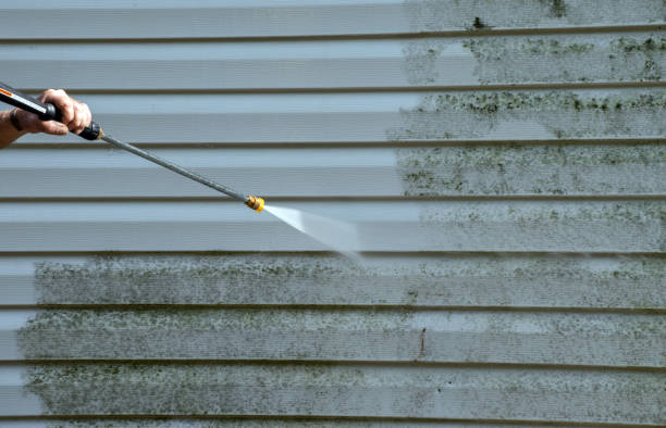 Solar Panel Cleaning in Darien, GA